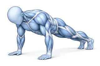 Push up