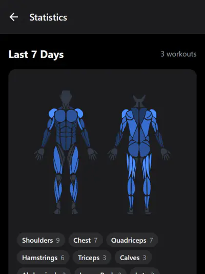Statistics screen with a muscle map
